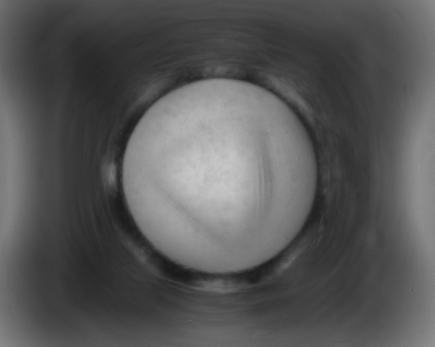 X0000086060067200704132027