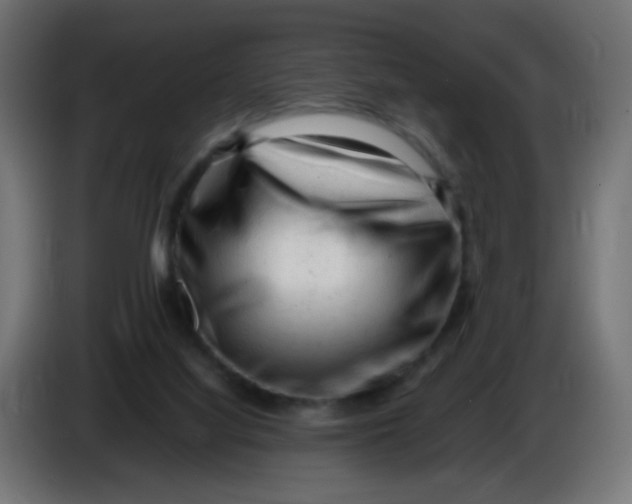 X0000086060068200704132027