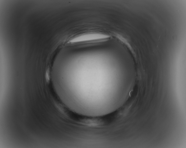 X0000086060069200704132027