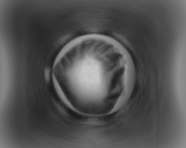 X0000086060070200704132027