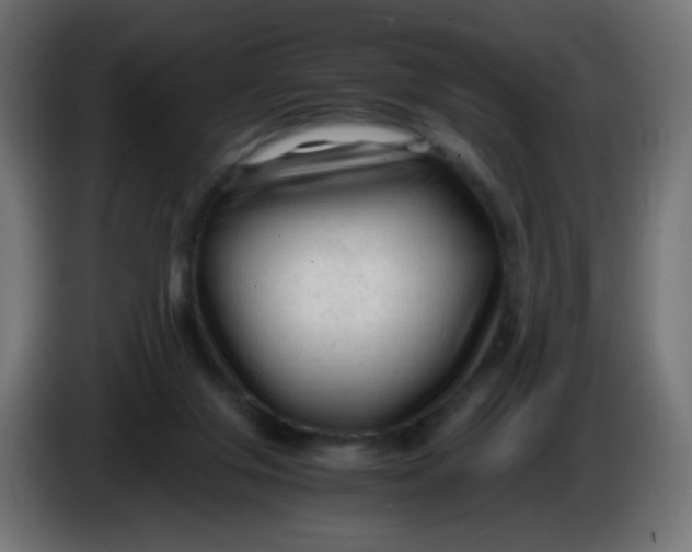 X0000086060071200704132027