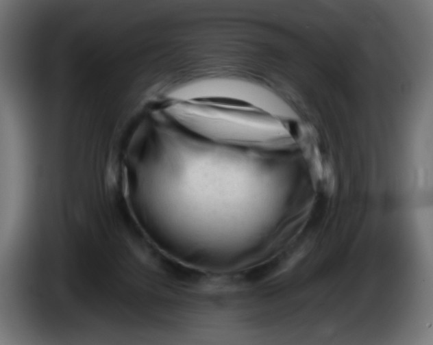 X0000086060072200704132027