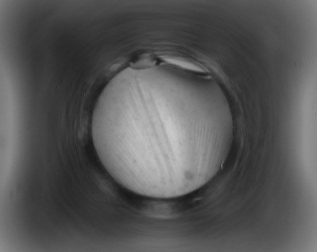 X0000086060073200704132027