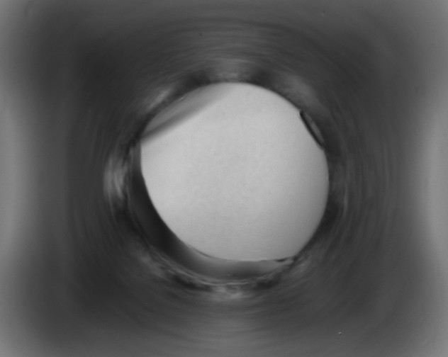 X0000086060076200704132027