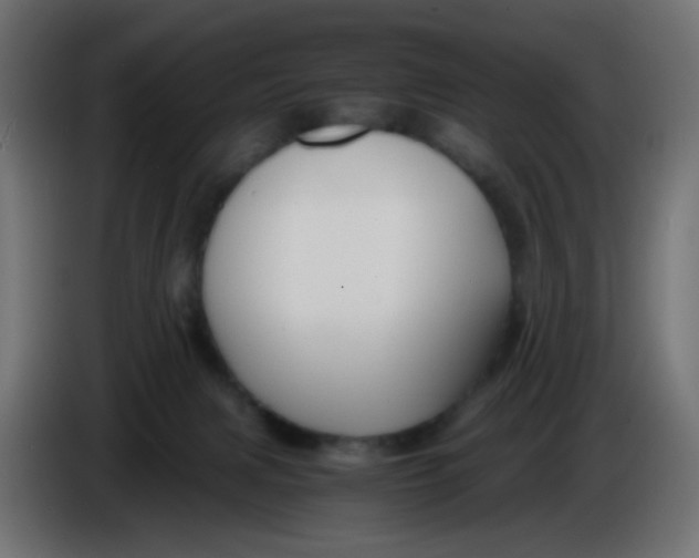 X0000086060079200704132027