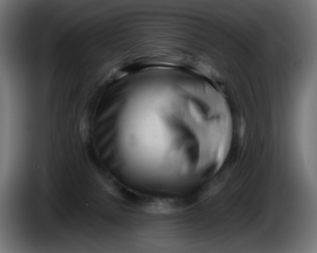 X0000086060080200704132027