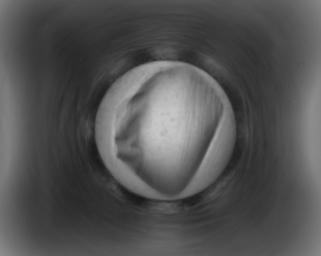 X0000086060081200704132027