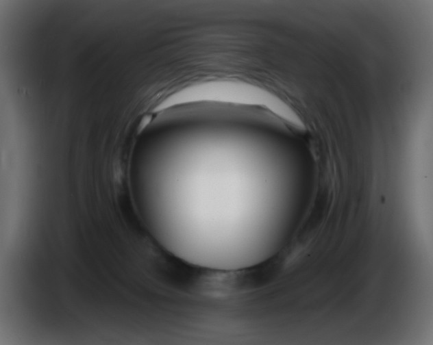 X0000086060084200704132027