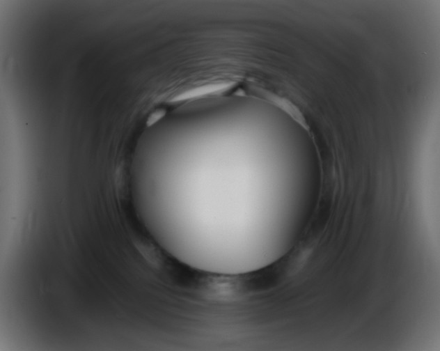 X0000086060088200704132028