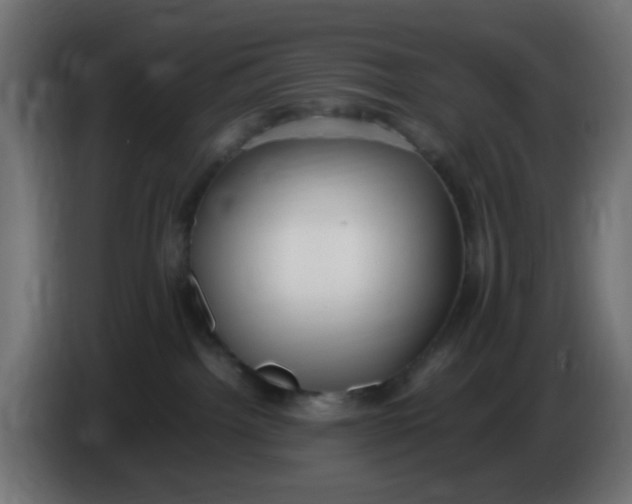 X0000086060092200704132028