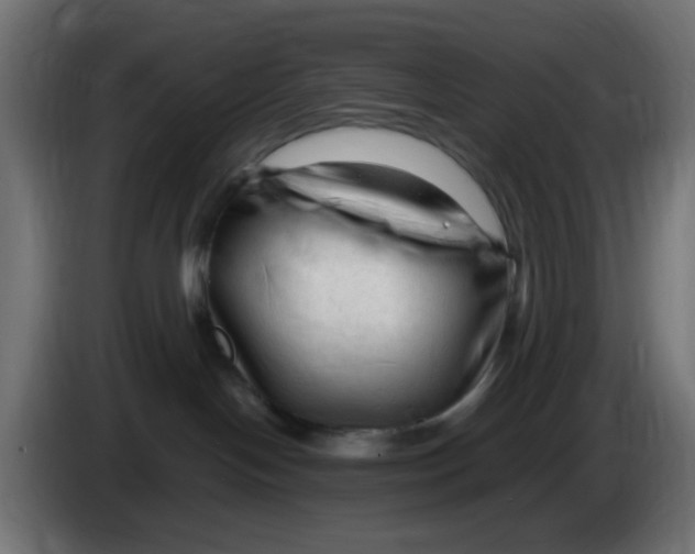 X0000086060094200704132028