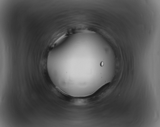 X0000086060096200704132028