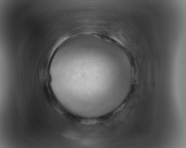 X0000086060099200704132027