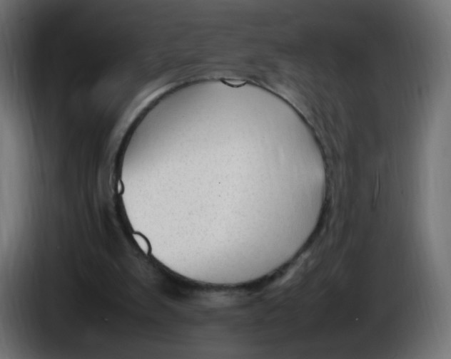 X0000086060103200704132027