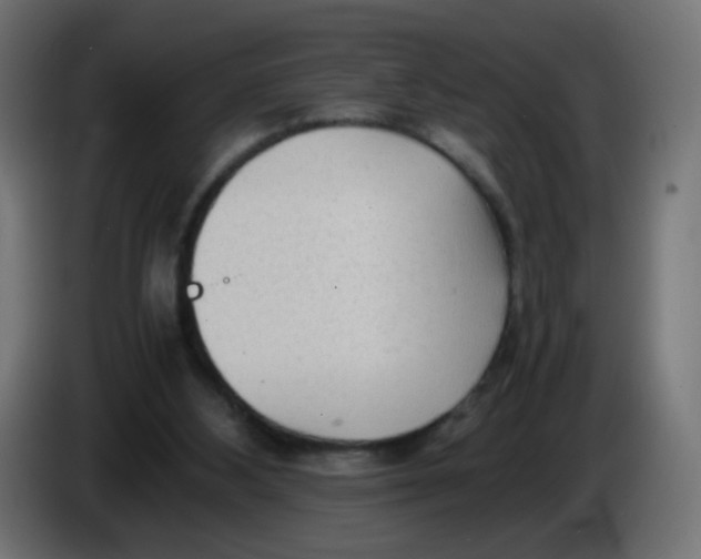 X0000086060108200704132027