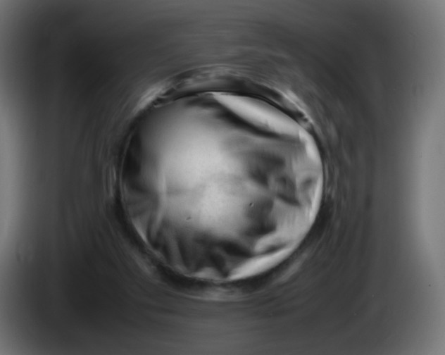 X0000086060109200704132027