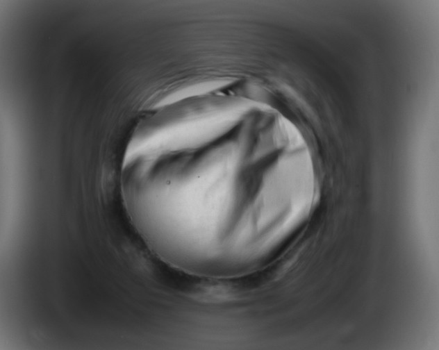 X0000086060113200704132027