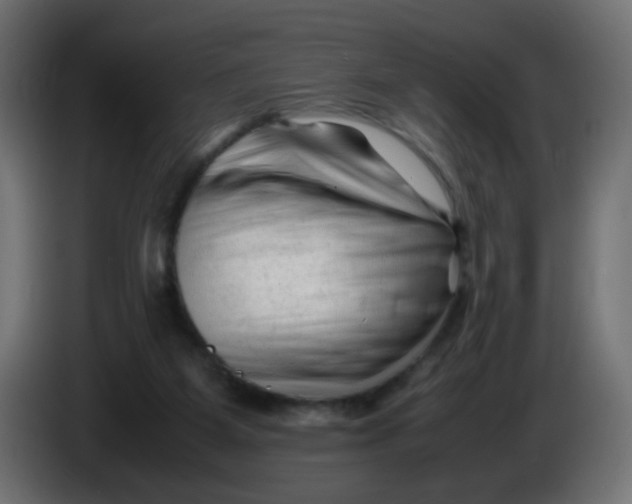 X0000086060115200704132027