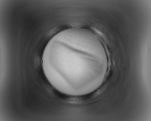 X0000086060117200704132027