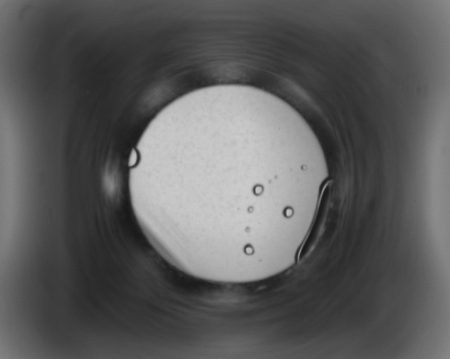 X0000086060124200704132027