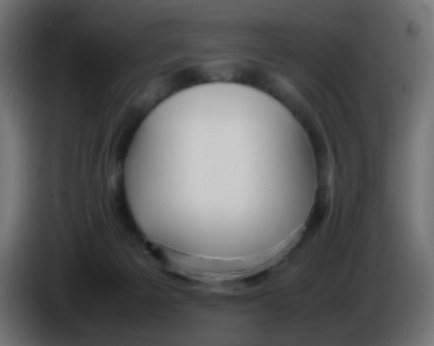 X0000086060125200704132027