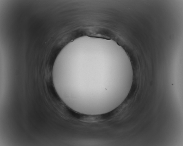 X0000086060129200704132027