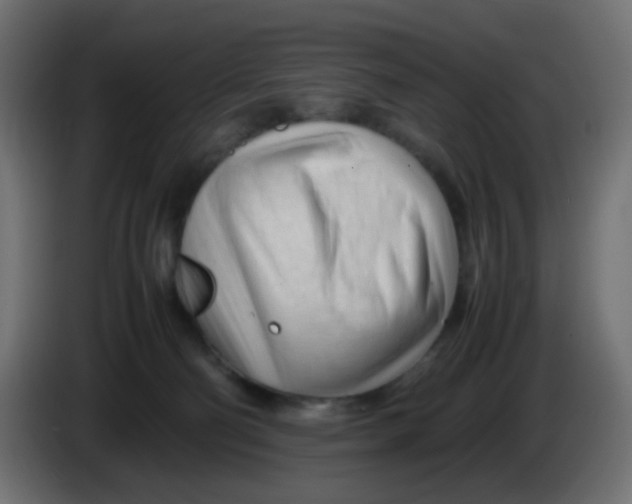 X0000086060130200704132027