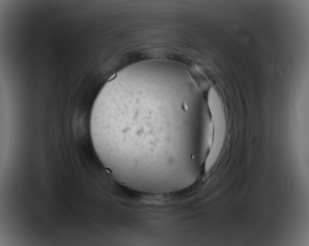 X0000086060131200704132027