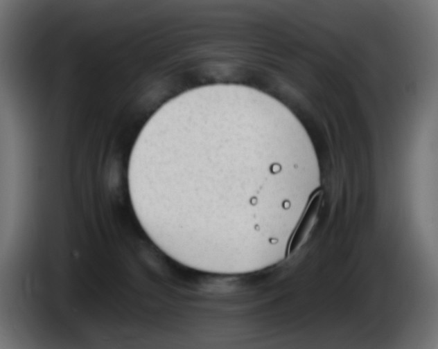 X0000086060132200704132026