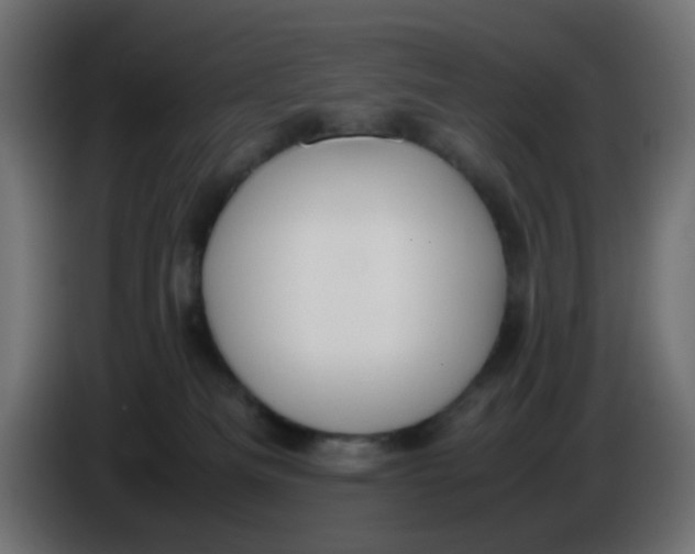 X0000086060133200704132026