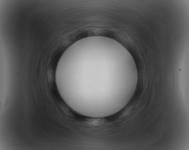 X0000086060135200704132026