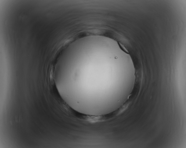 X0000086060143200704132026