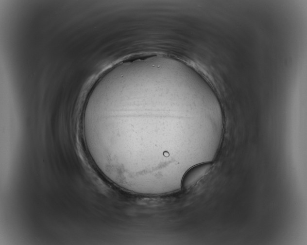 X0000086060145200704132026