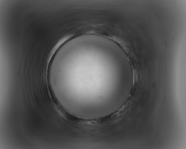 X0000086060147200704132026