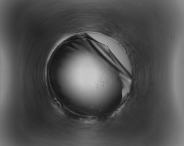 X0000086060148200704132026