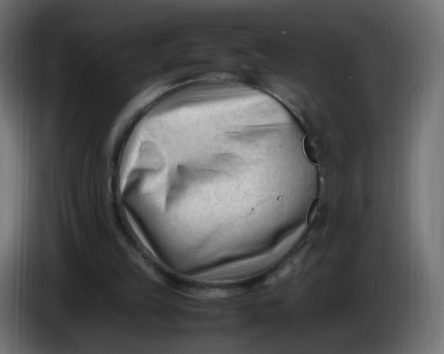 X0000086060149200704132026