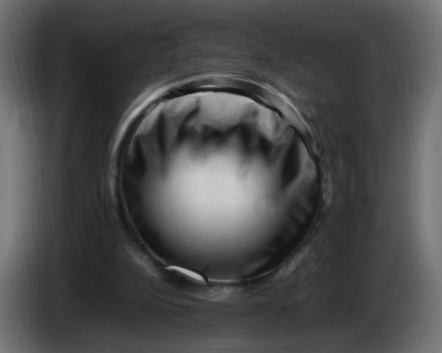 X0000086060152200704132026