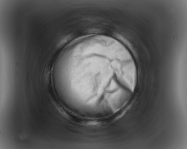 X0000086060153200704132026