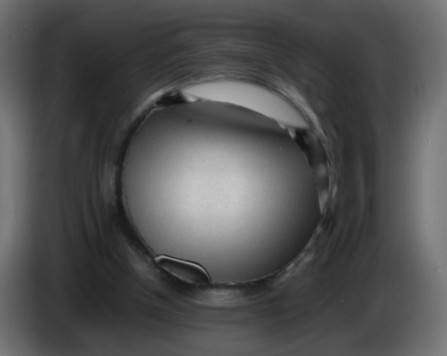 X0000086060154200704132026