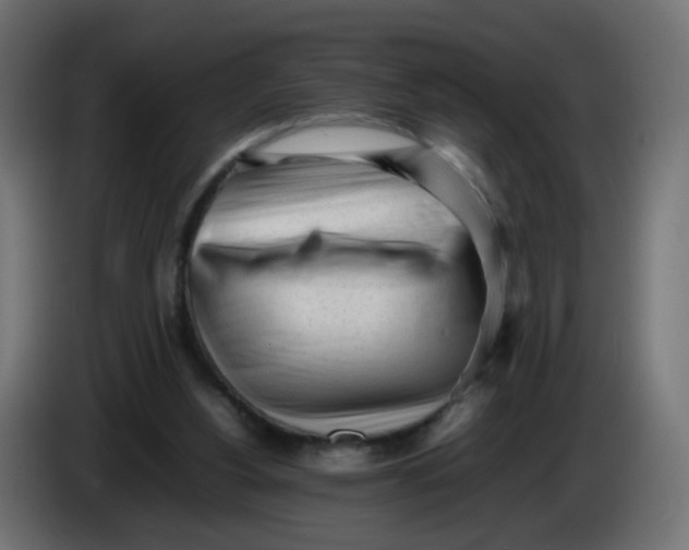 X0000086060156200704132026