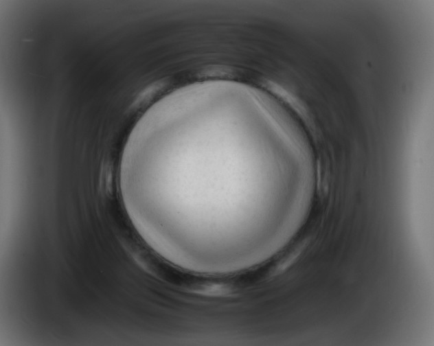 X0000086060157200704132026