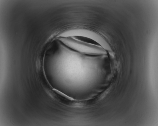 X0000086060158200704132026