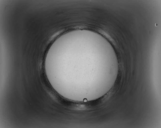 X0000086060159200704132026