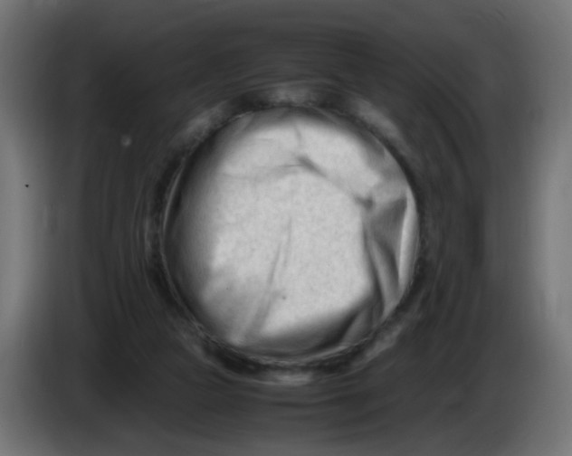 X0000086060161200704132026