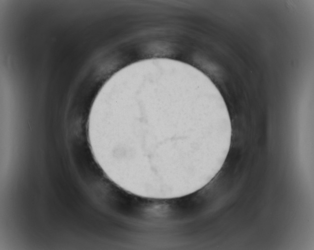 X0000086060162200704132026