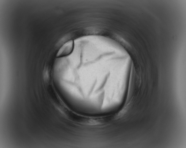 X0000086060166200704132026