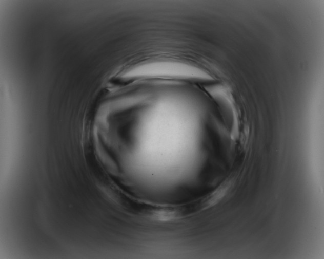 X0000086060168200704132026