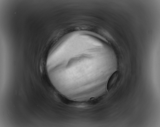 X0000086060169200704132026