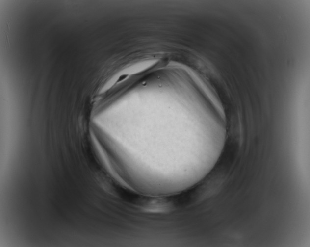 X0000086060173200704132026