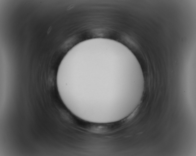 X0000086060174200704132026